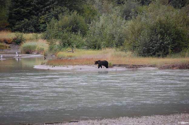 Alaska