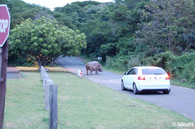 Südafrika