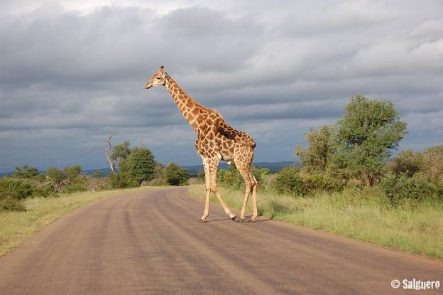 Südafrika