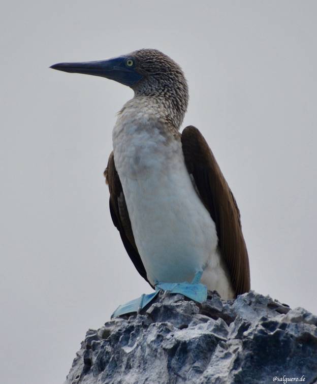 Ecuador