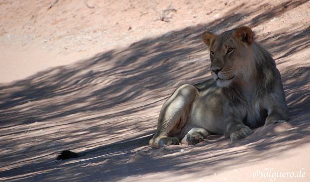 Südafrika