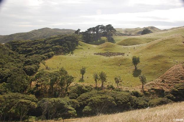 Neuseeland