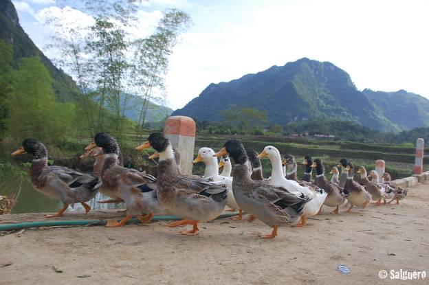Vietnam