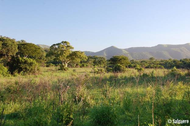 Südafrika