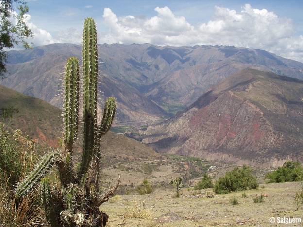 Peru