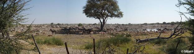Namibia