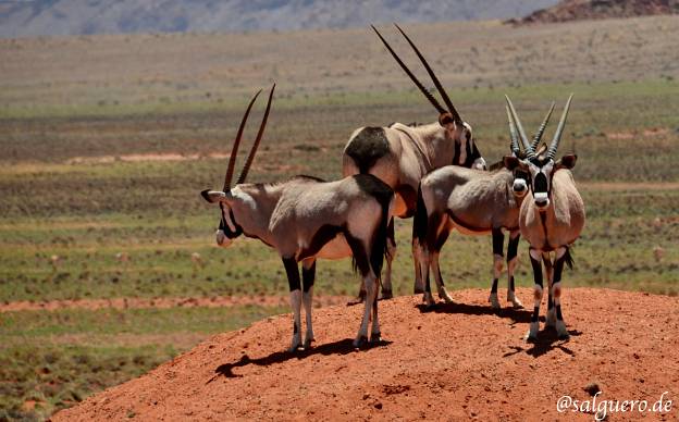 Namibia