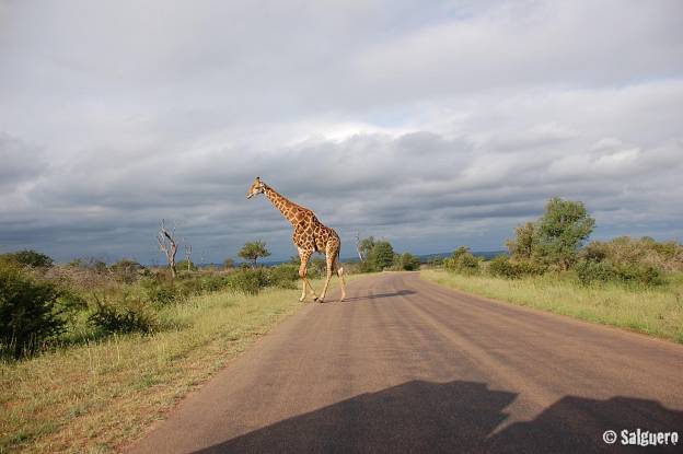 Südafrika