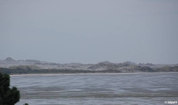 Neuseeland