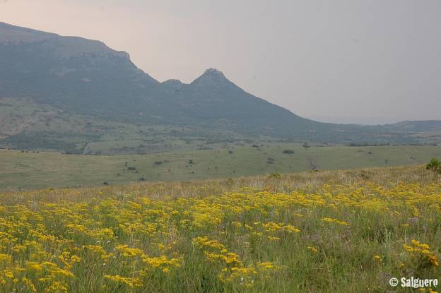 Südafrika