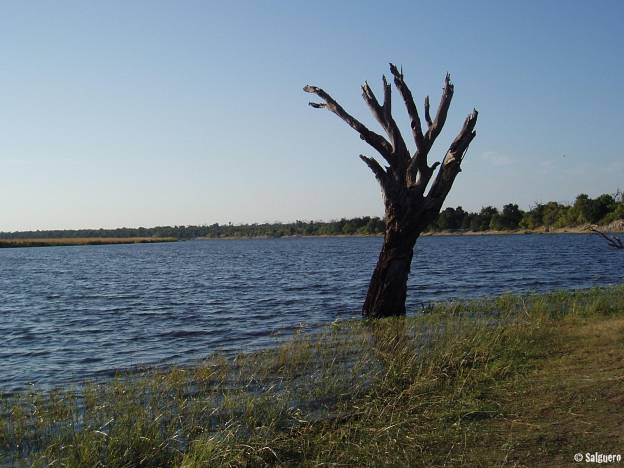 Botswana