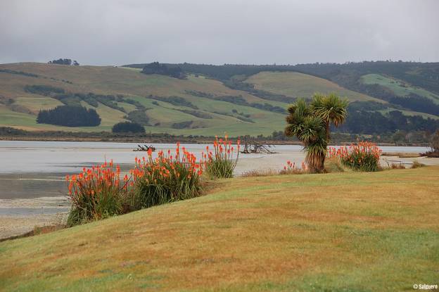 Neuseeland