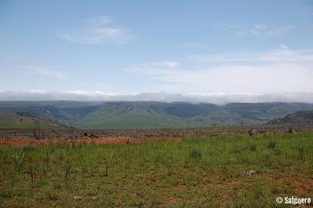 Südafrika