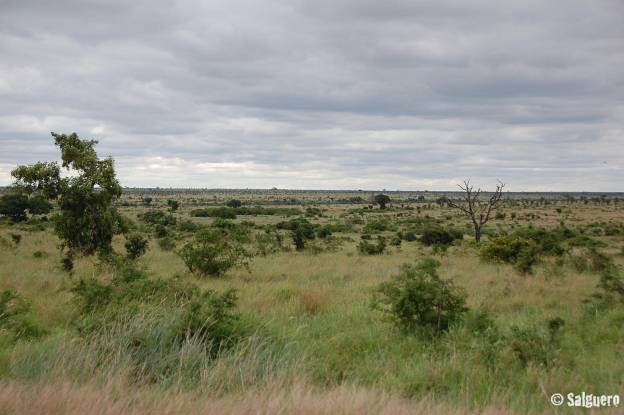 Südafrika