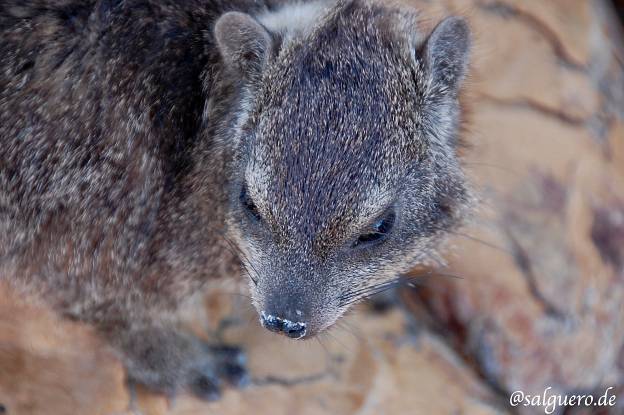 Namibia