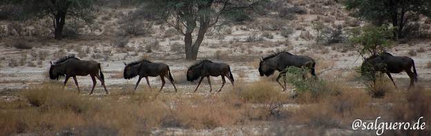 Südafrika