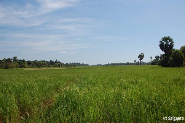 Kambodscha