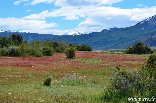 Chile