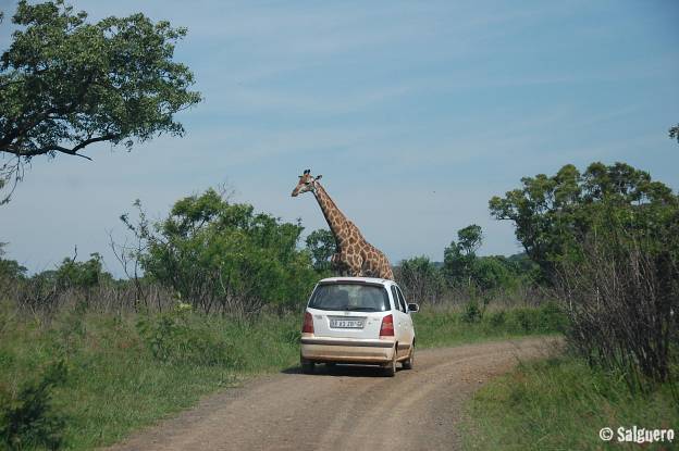 Südafrika