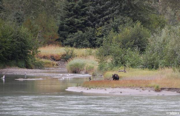 Alaska