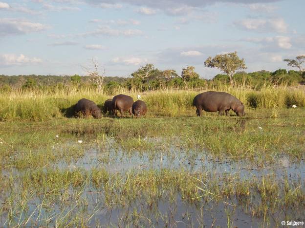 Botswana