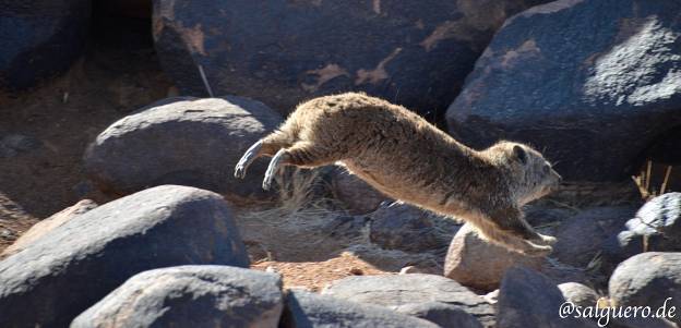 Namibia