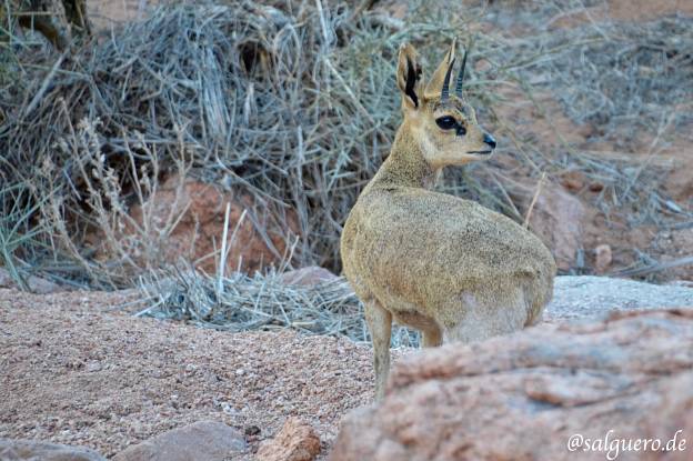 Namibia