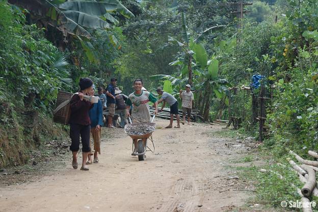 Vietnam