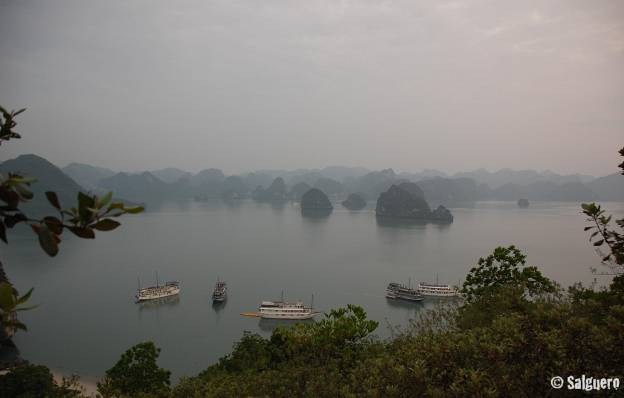 Vietnam