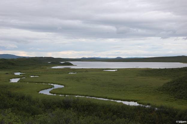 Alaska