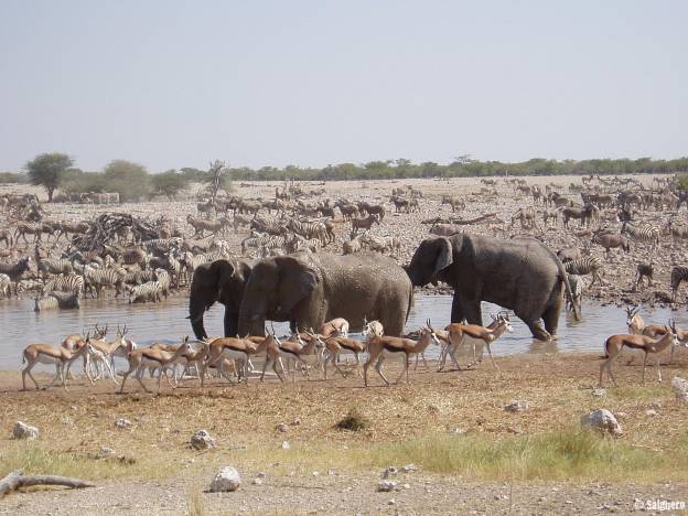 Namibia