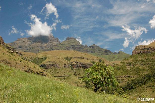 Südafrika