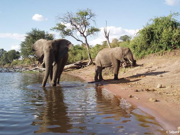 Botswana