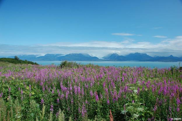 Alaska