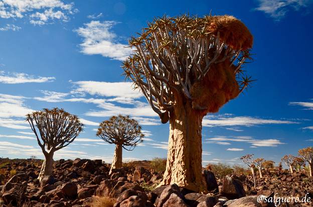 Namibia