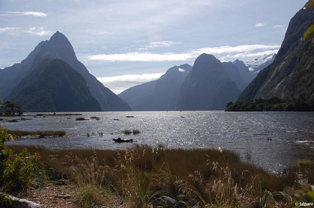Neuseeland