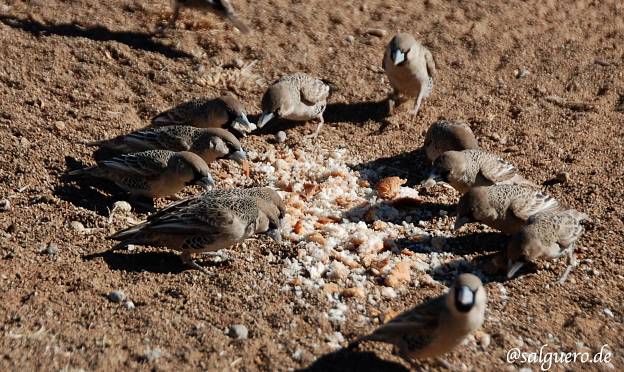 Namibia