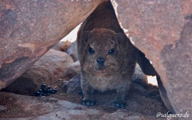 Namibia