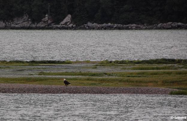 Alaska