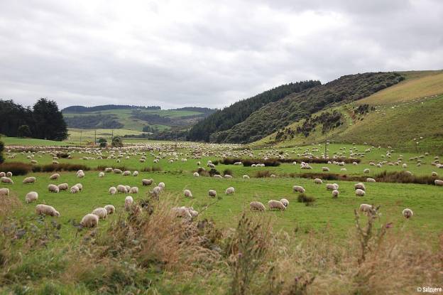 Neuseeland