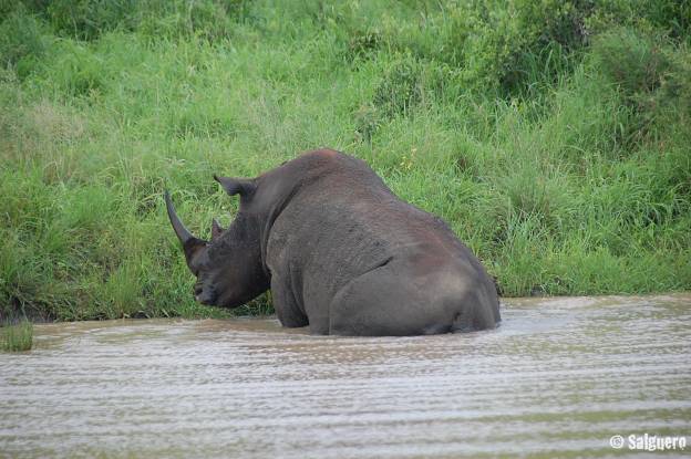 Südafrika