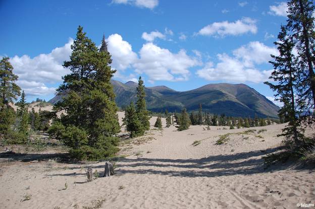 Yukon