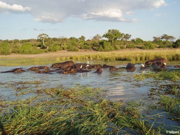 Botswana