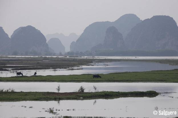 Vietnam