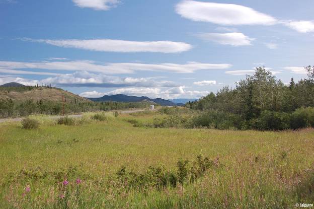 Yukon