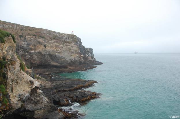 Neuseeland