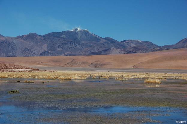 Chile
