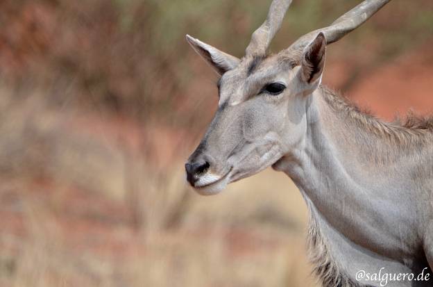 Namibia
