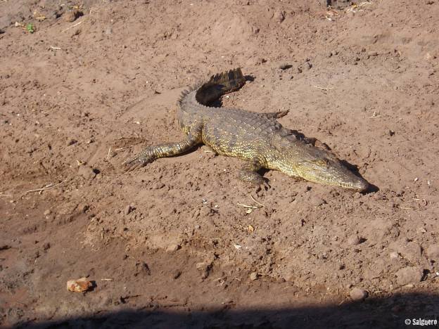 Botswana