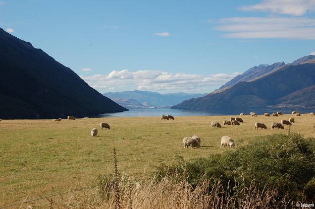 Neuseeland